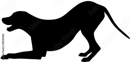 Hund