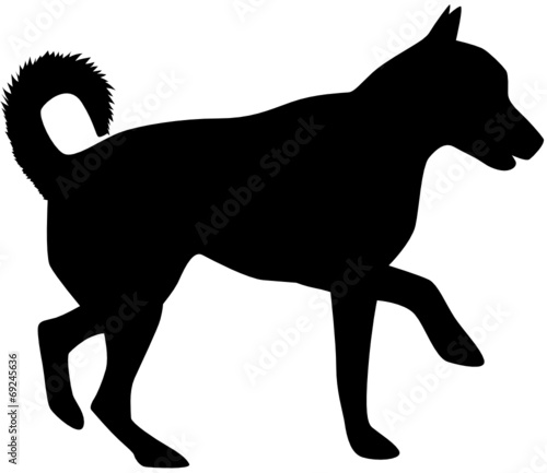 Hund
