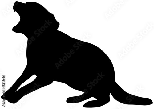 Hund