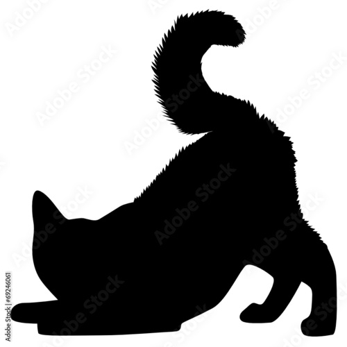 Katzenbaby