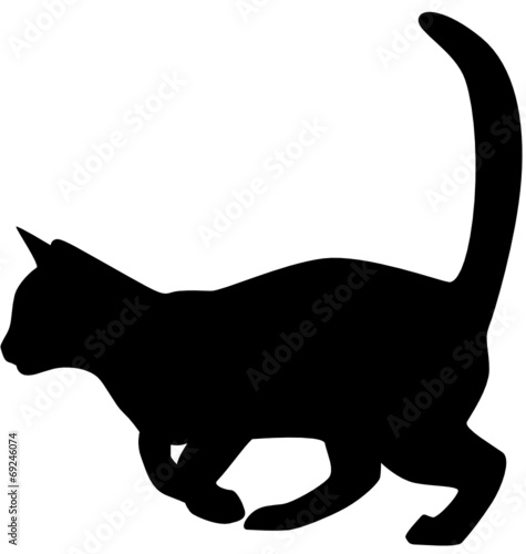 Katze