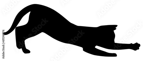 Katze