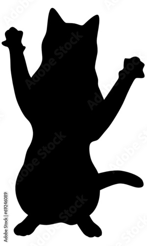 Katze