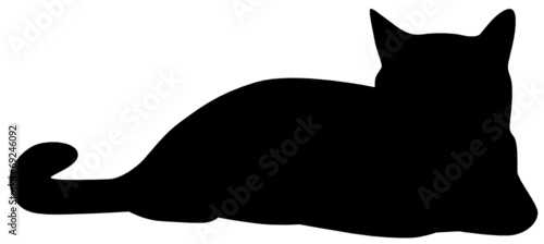 Katze