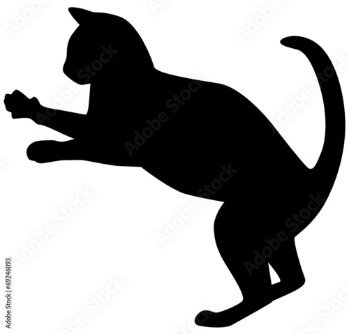 Katze