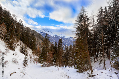 Wallpaper Mural Forest near Village Umhausen and waterfall Torontodigital.ca