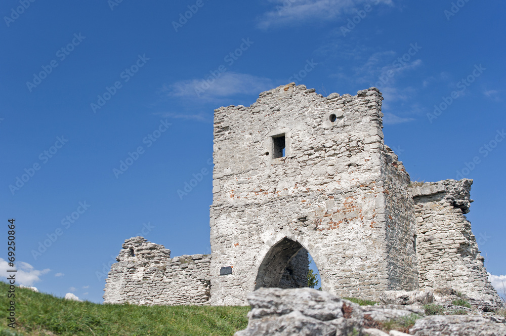 Ruins of Kudryntsi Castle in Ternopil region of Ukraine