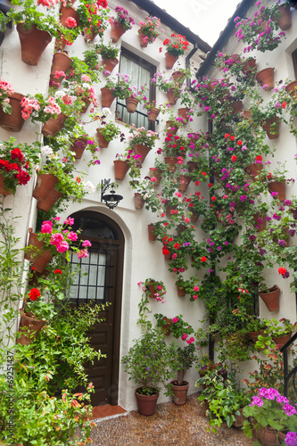Flowers Decoration of Courtyard, typical house in Spain, Europe © Taiga