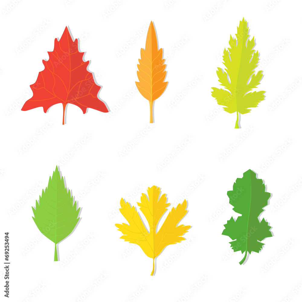 Isolated image of a leaves. Vector illustration. Isolated image of a leaves. Vector illustration.