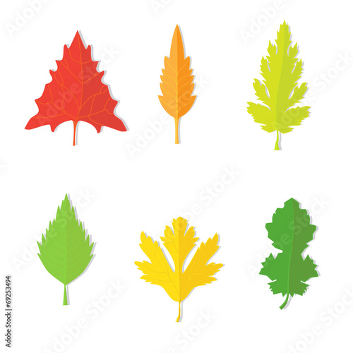 Isolated image of a leaves. Vector illustration.