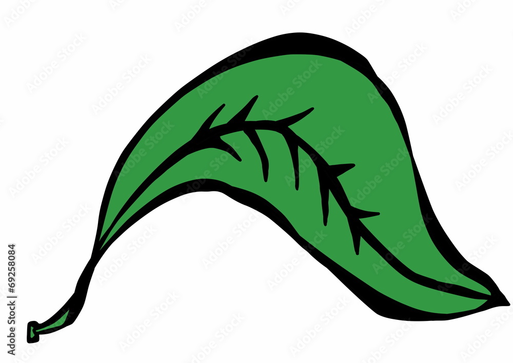 Doodle Leaf Stock Illustration Adobe Stock