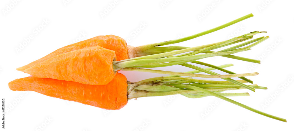 Carrots isolated on white Carrots isolated on white
