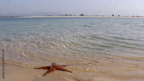 Starfish and Armona island, Ria Formosa View. Algarve