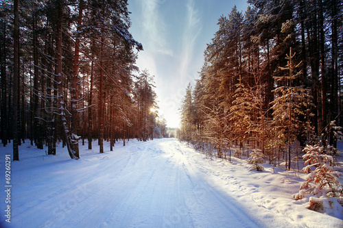 Winter forest sunset sunbeams photo