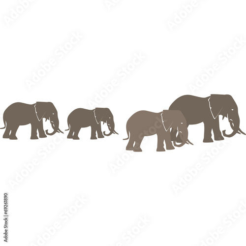 elefante