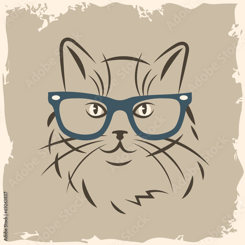 cat in glasses