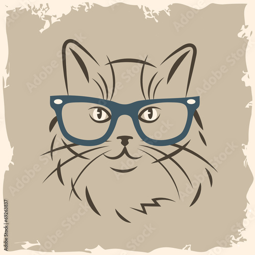 cat in glasses