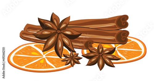 Cinnamon, anise and orange on a white background. Vector