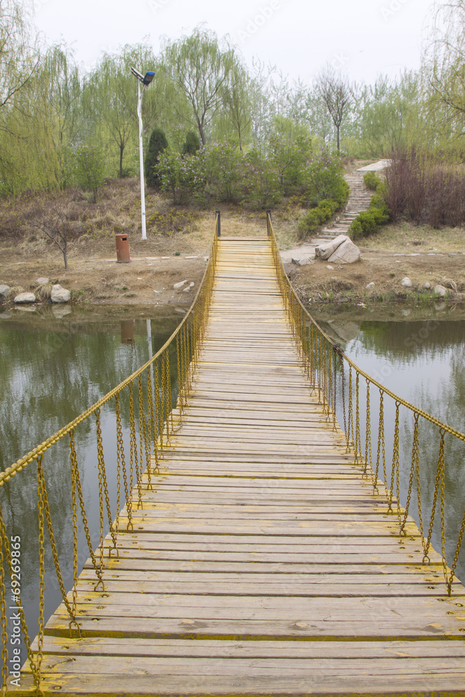 Plank bridge in a Forest Park