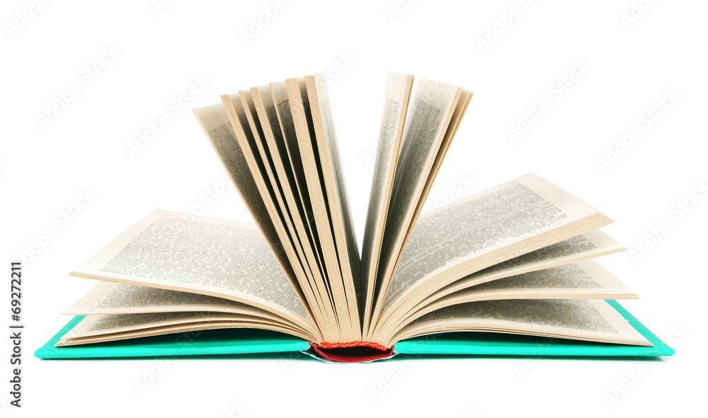 The open book. On white background. The open book. On white background.