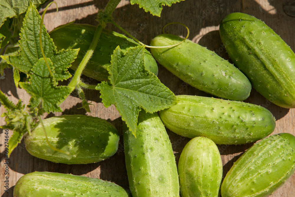 gherkins gherkins