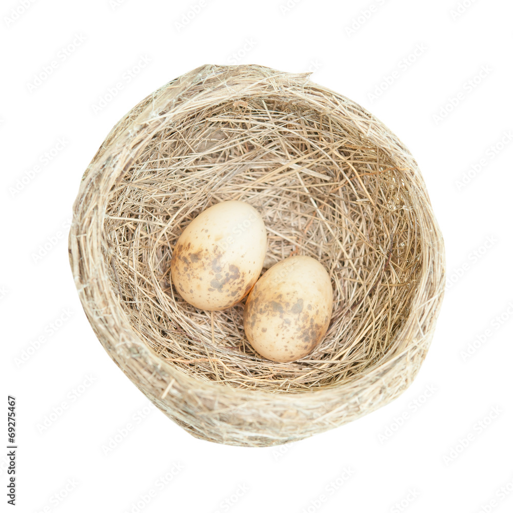 Bird nest with two eggs on white background. Bird nest with two eggs on white background.