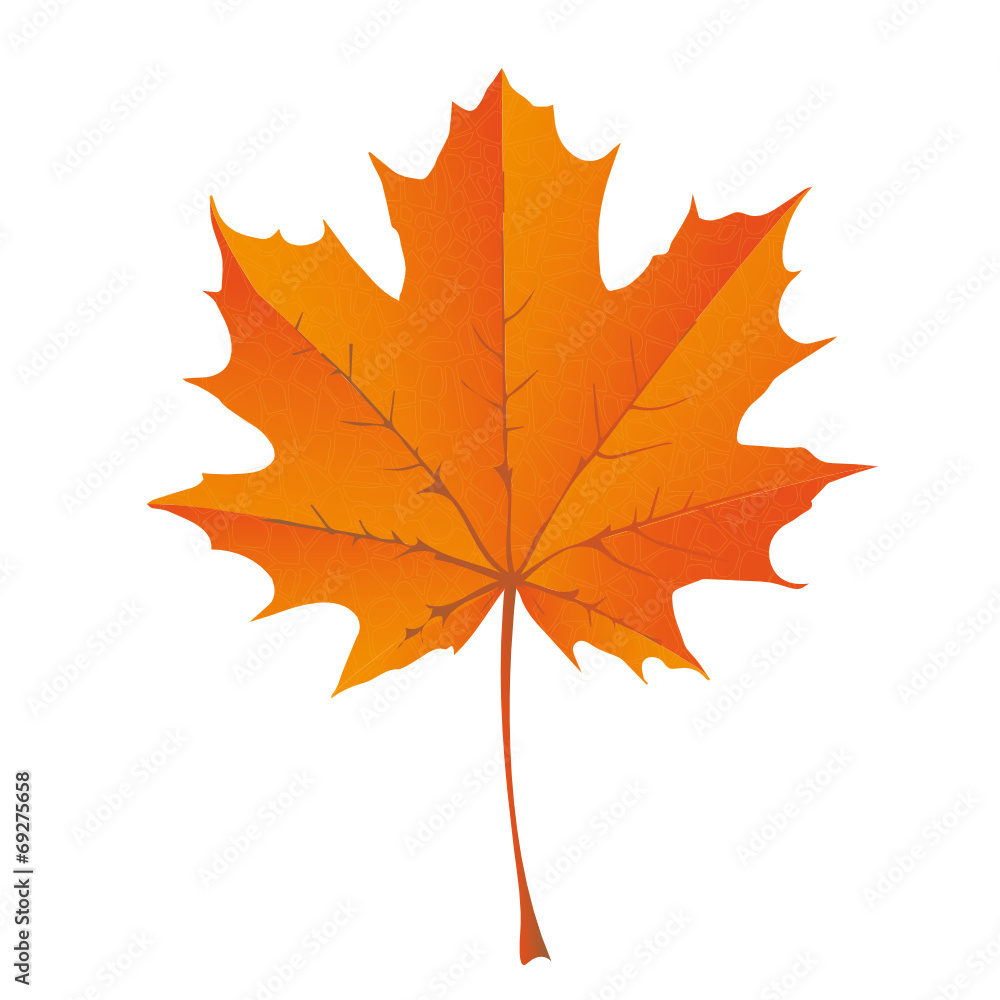 Obraz premium HERBST