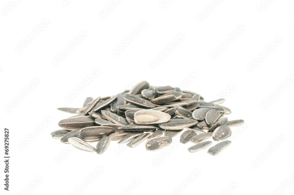 sunflower seeds on white background sunflower seeds on white background