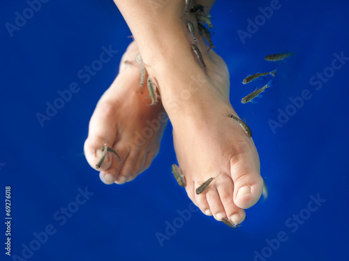 Fish spa feet pedicure skin care treatment with the fish rufa ga
