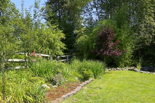 Green backyard landscape