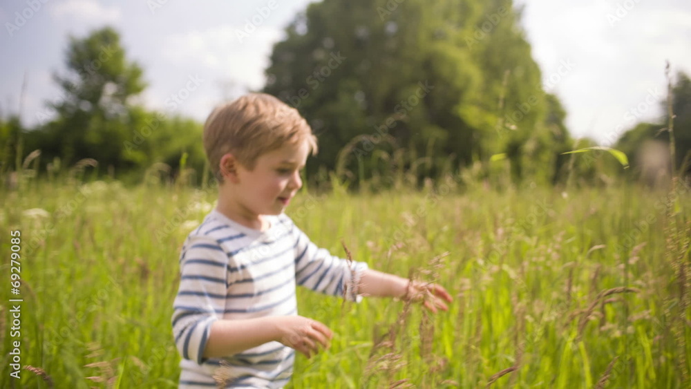 Little Boy Walking Through Tall Grass Little Boy Walking Through Tall Grass