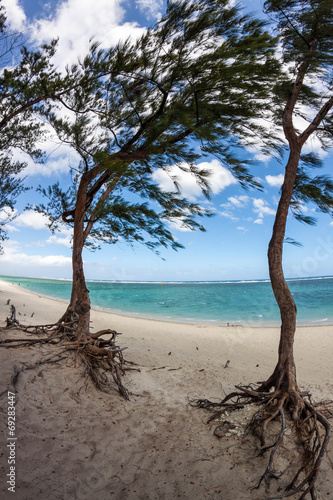 Sud Sauvage - Ile de la Réunion