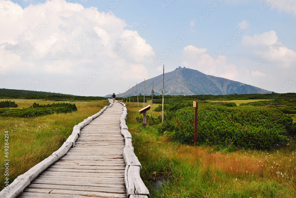 Fototapeta premium Krkonose Czech nature mountains