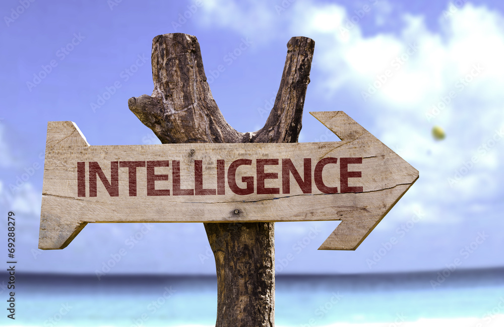 Intelligence wooden sign with a beach on background