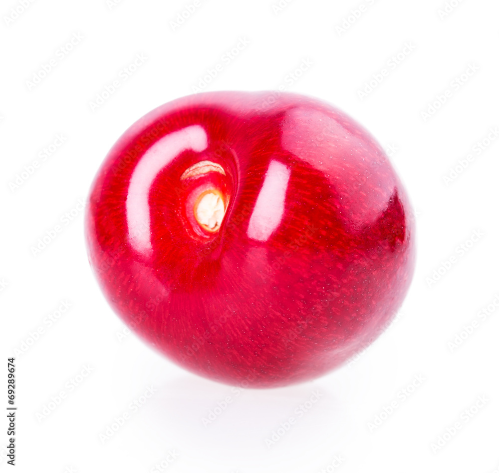 Obraz premium cherry