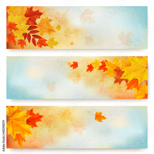 Three abstract autumn banners with color leaves. Vector