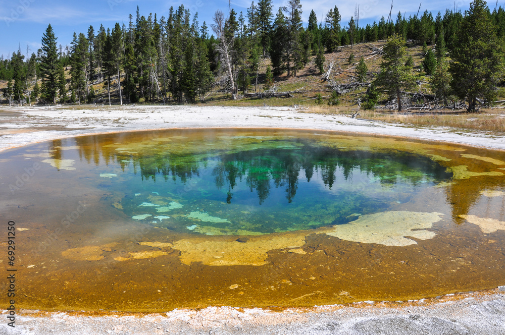 One of the many scenic landscapes of Yellowstone National Park,