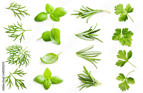 Wallpaper Mural Spice isolated on white background.