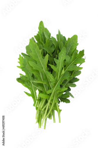 Rucola isolated on white background