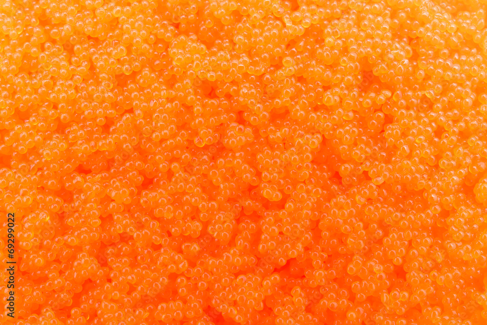 Egg shrimp background Egg shrimp background