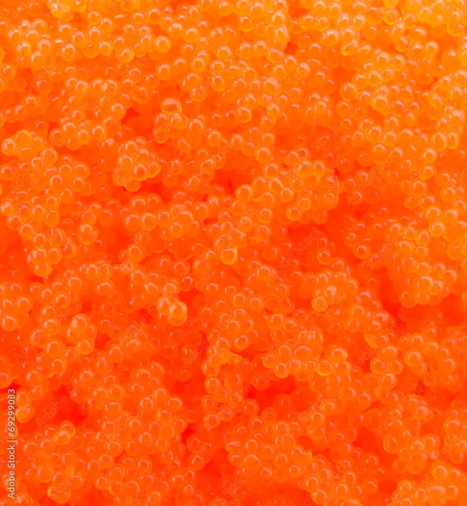 Egg shrimp background Egg shrimp background