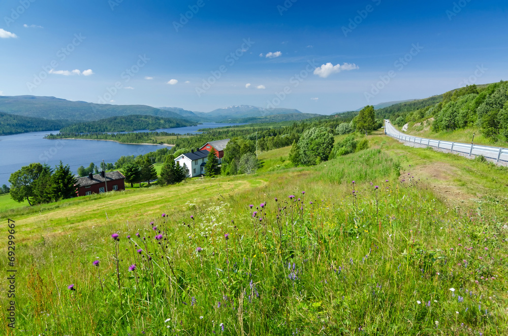 Beautiful Norwegian summer scenery