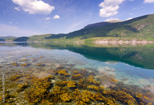 Norwegian fjord summer landscape