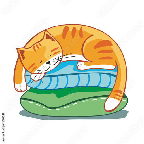 sleeping cat