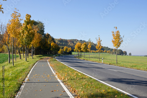 Obraz na płótnie Automn colors in Germany w salonie