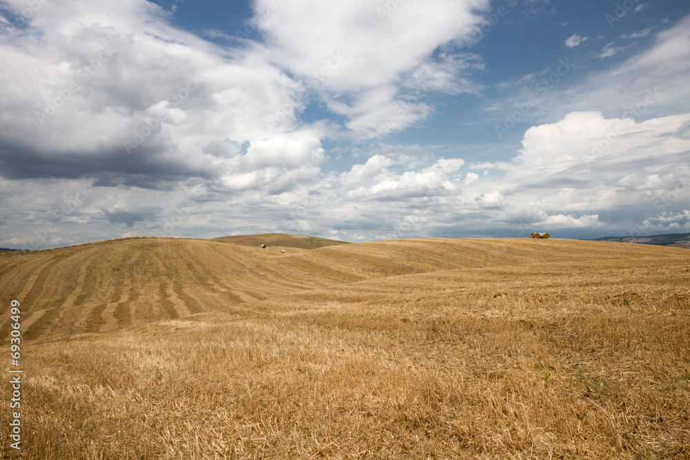 Tuscan landscape in Val d'Orcia (Siena, Italy)