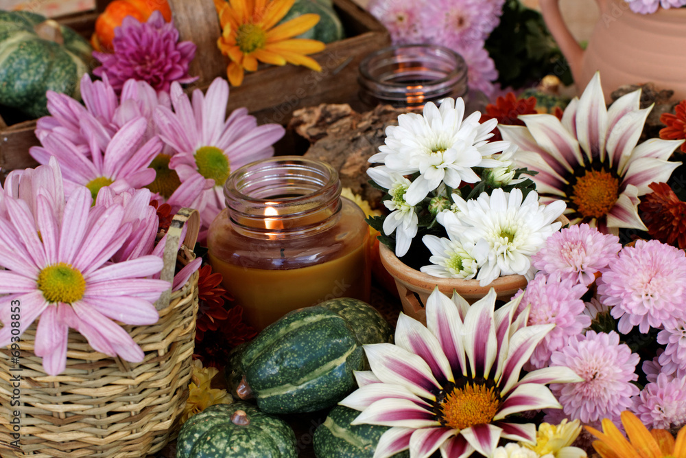 Herbstblumen Herbstblumen