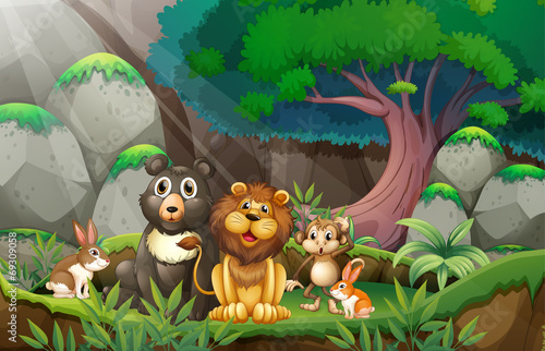animals in jungle