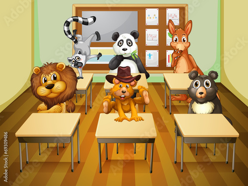 Aimals in classroom
