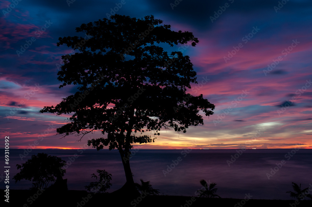 Silhouette of tree on sunset background Silhouette of tree on sunset background